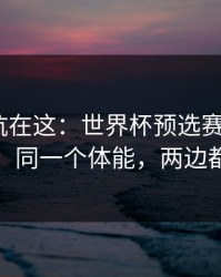 真正的坑在这：世界杯预选赛淘汰赛+排列三：同一个体能，两边都在提示