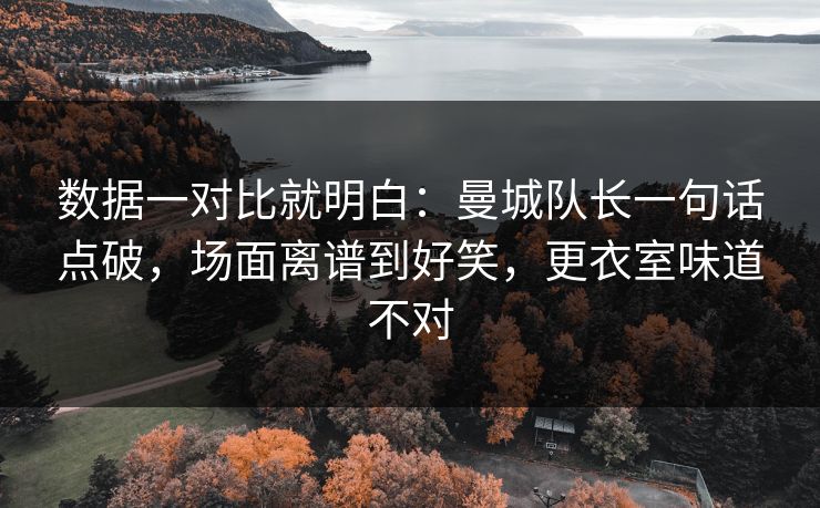 数据一对比就明白：曼城队长一句话点破，场面离谱到好笑，更衣室味道不对